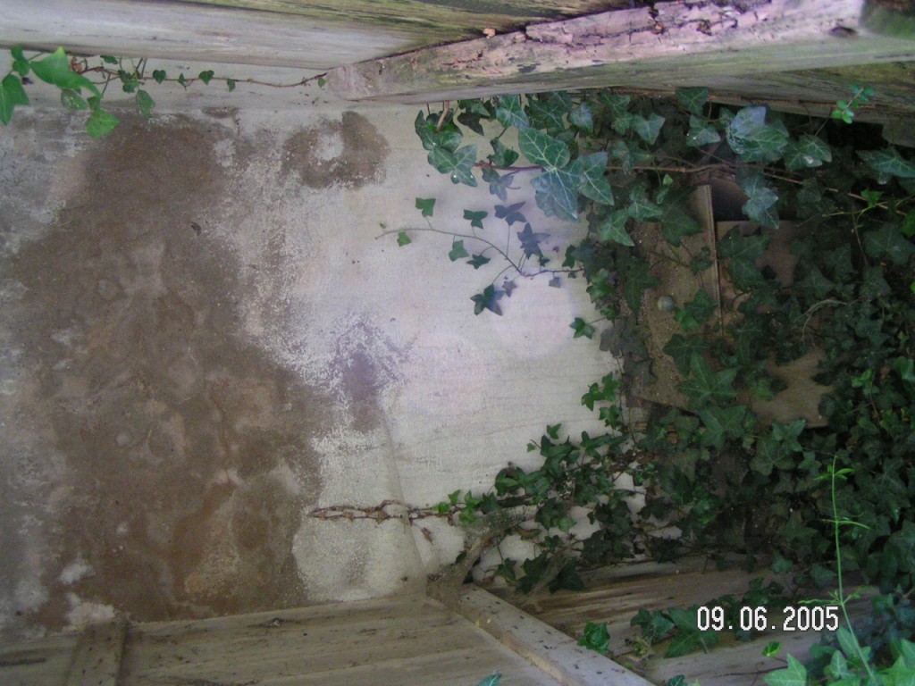 PICT0002.jpg