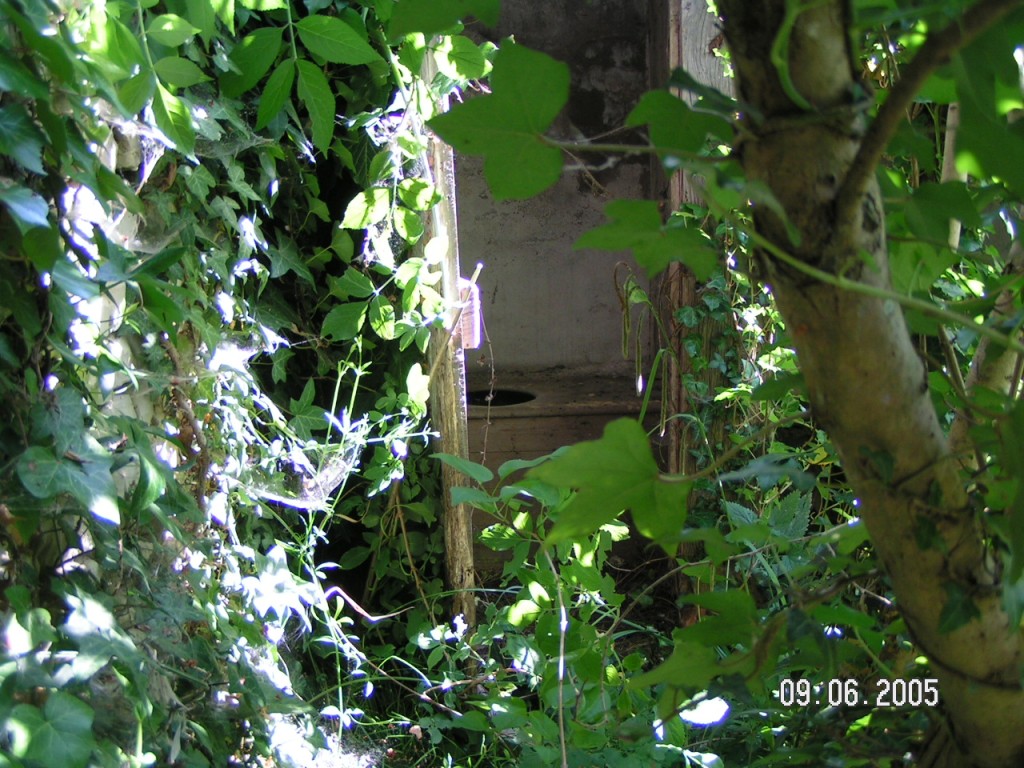 PICT0004.jpg