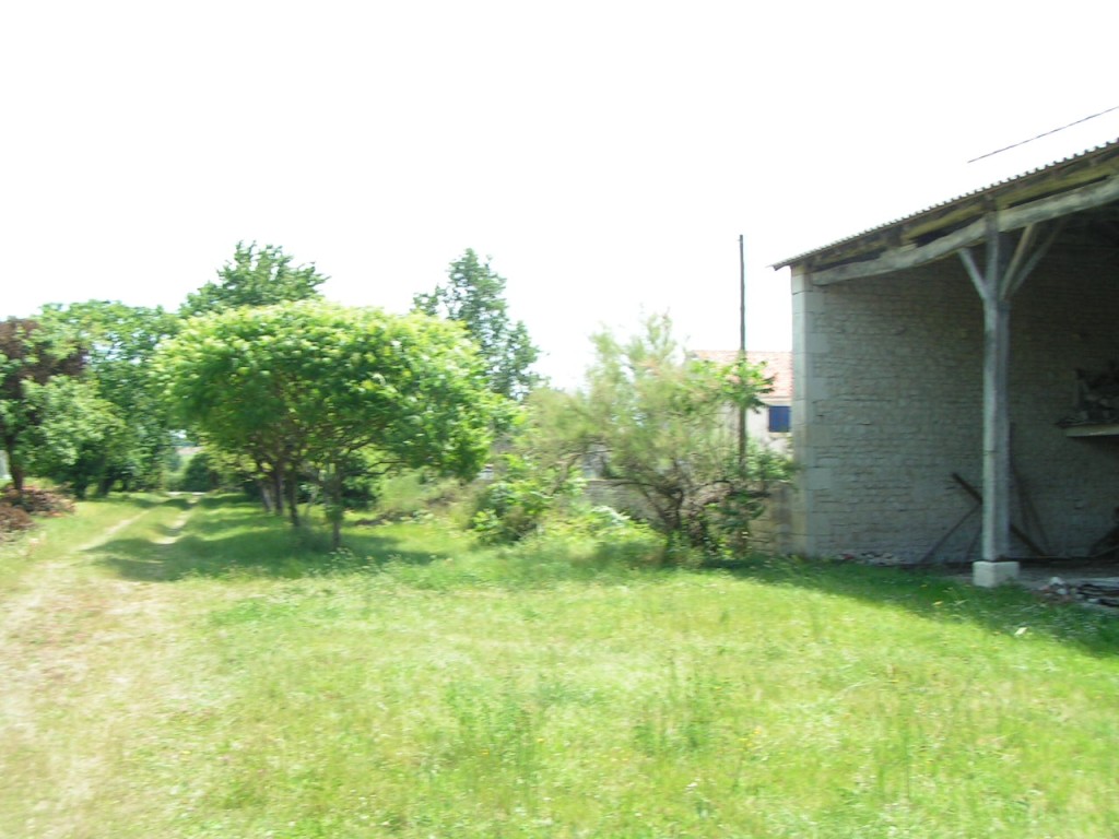 PICT0017.jpg