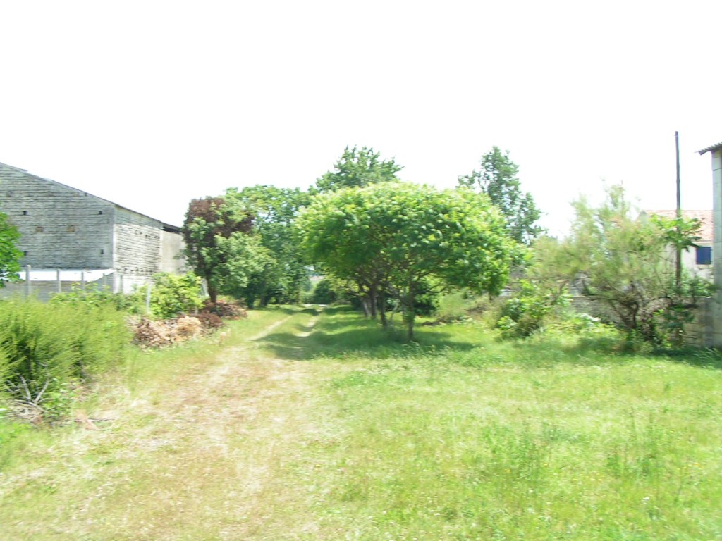 PICT0018.jpg
