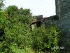 PICT0001.jpg