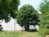 PICT0022.jpg