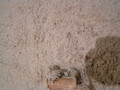PICT0073.JPG